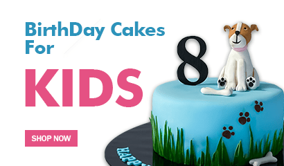 Birthday Cakes for Kids