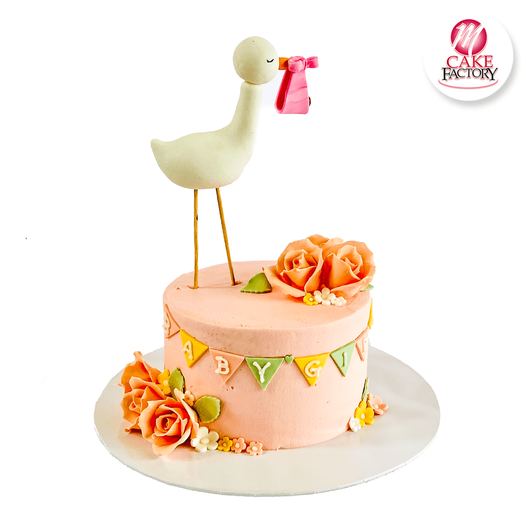 Baby Shower Cake (1.5kg)